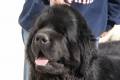 steve07-03-2010002.jpg